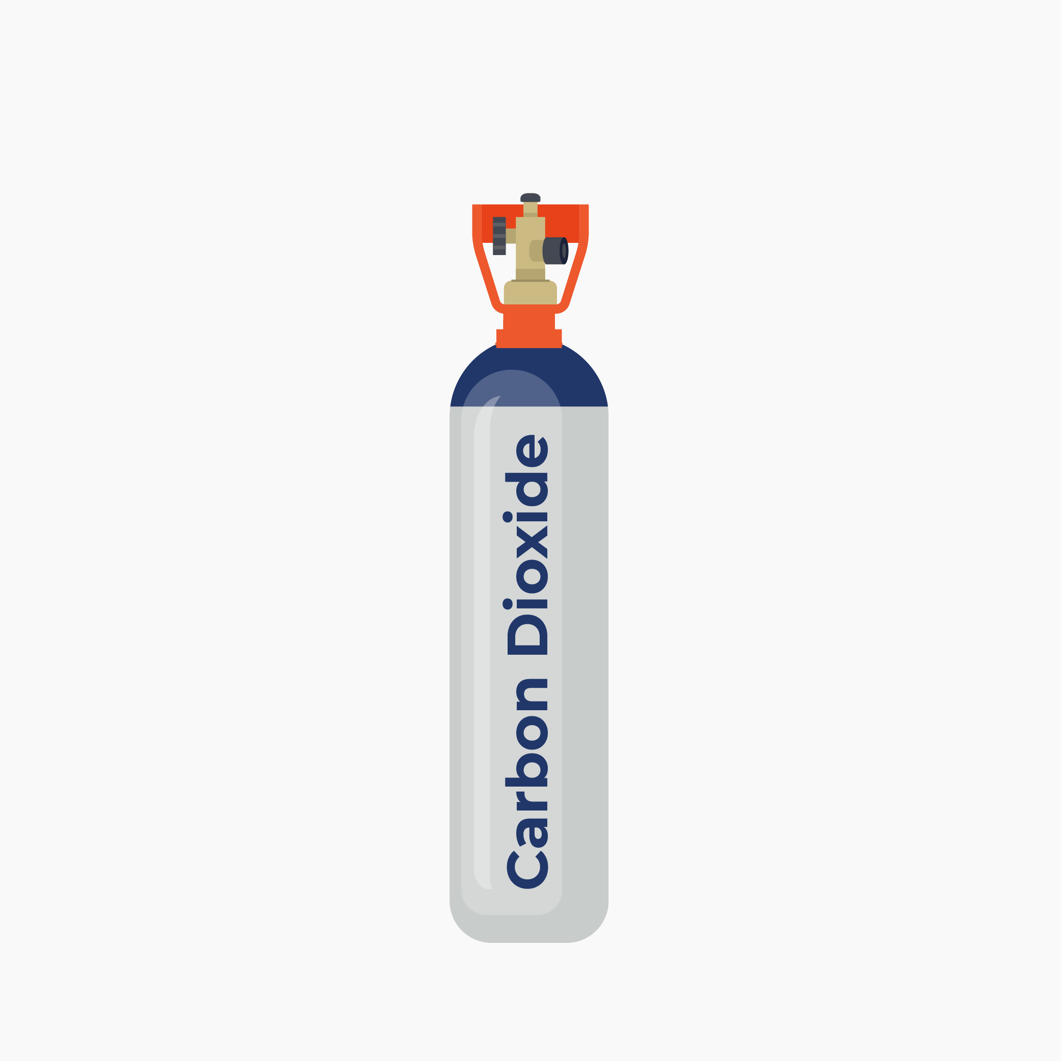 Carbon Dioxide