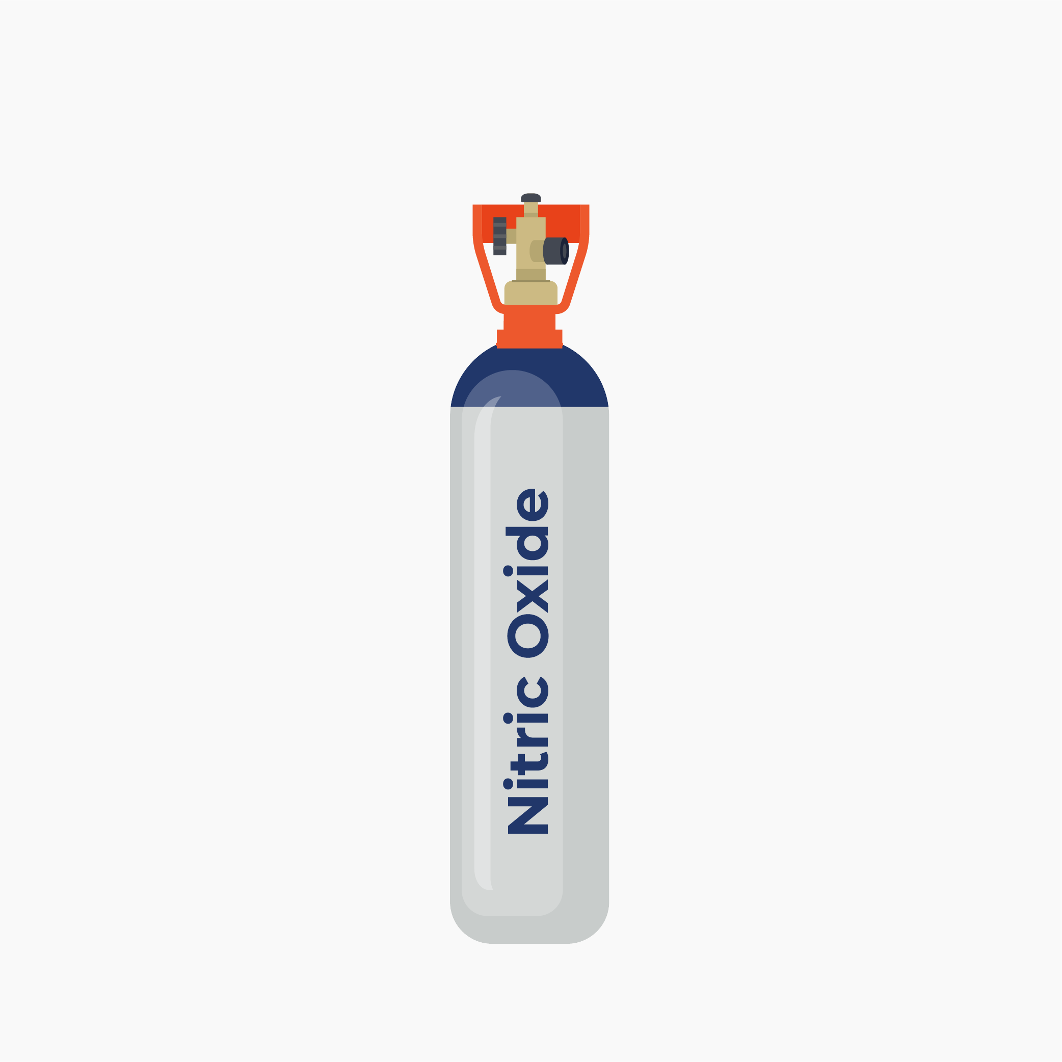 Nitric Oxide